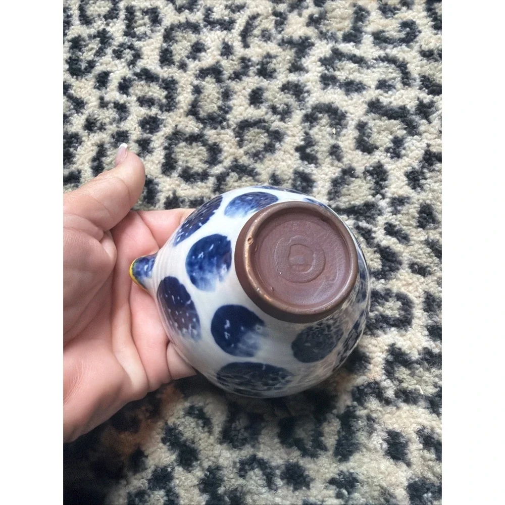 Anthropologie anthropology has